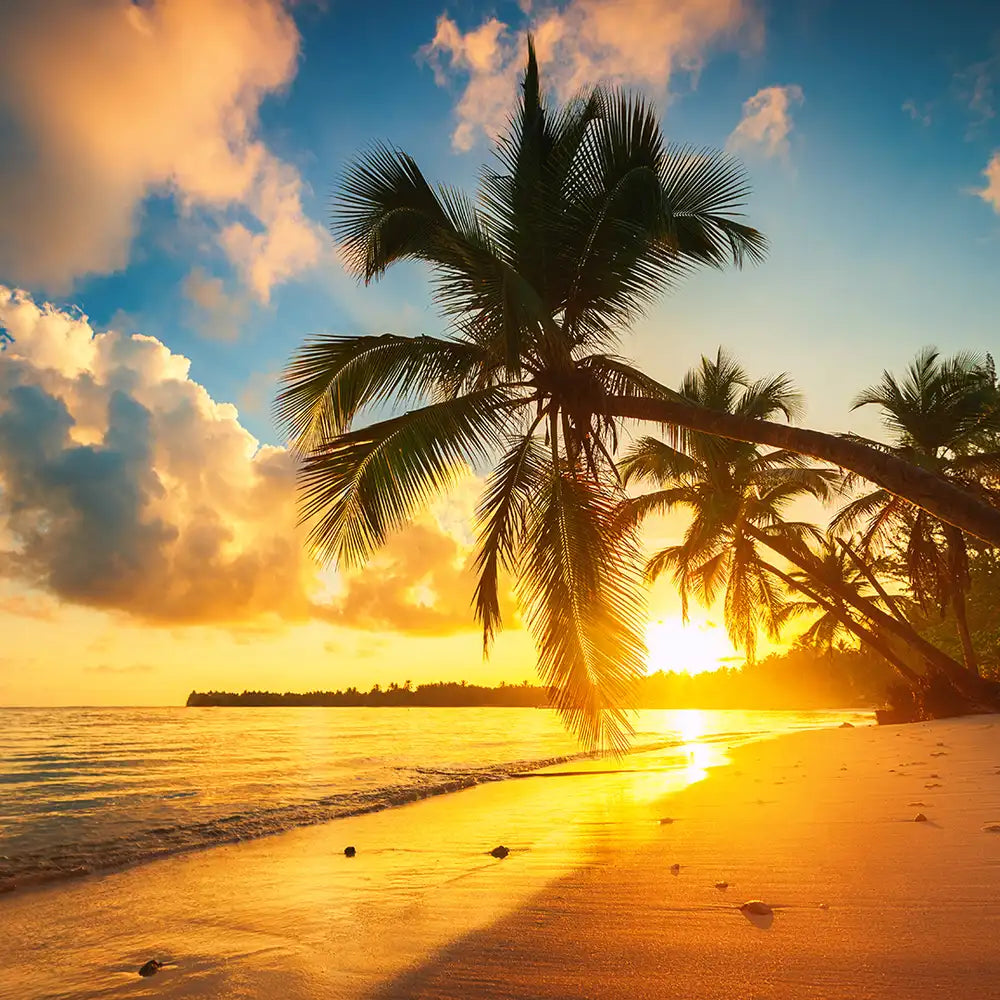 Cube de cire - Sable Solaire