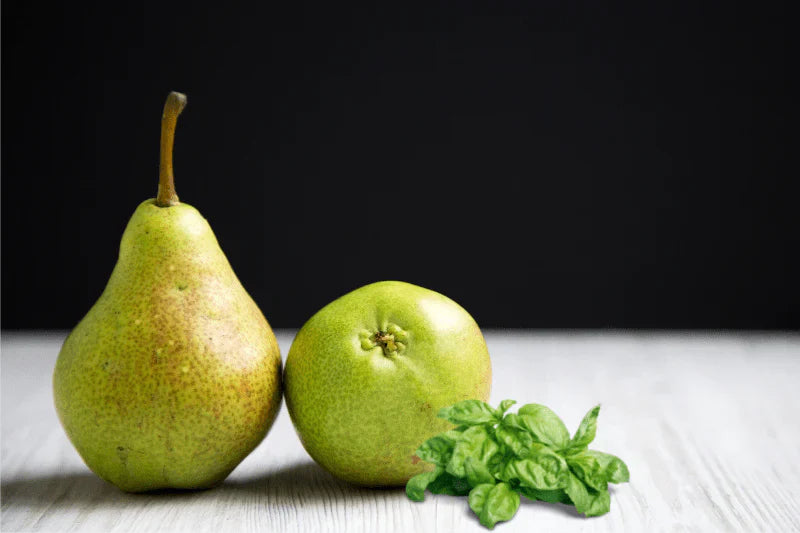 Cube de cire - Poire et Basilic